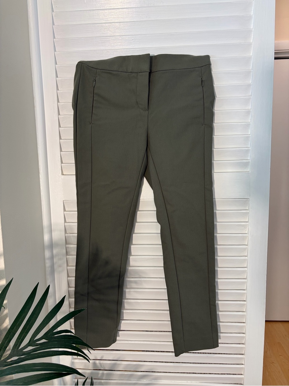 LOFT Olive Straight-Leg Ponte Pants